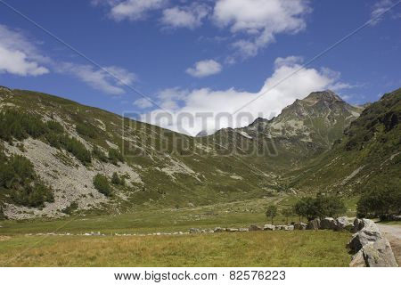 Mountain peaceful landscape in the summer season