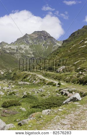 Madesimo Valley Floor In Summer Season