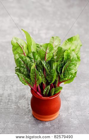 fresh beetroot leaves - fruits and vegetables
