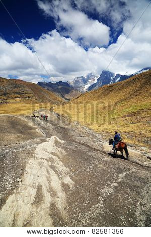 Cravan in Cordiliera Huayhuash, Laguna Jahuacocha, Peru, South 