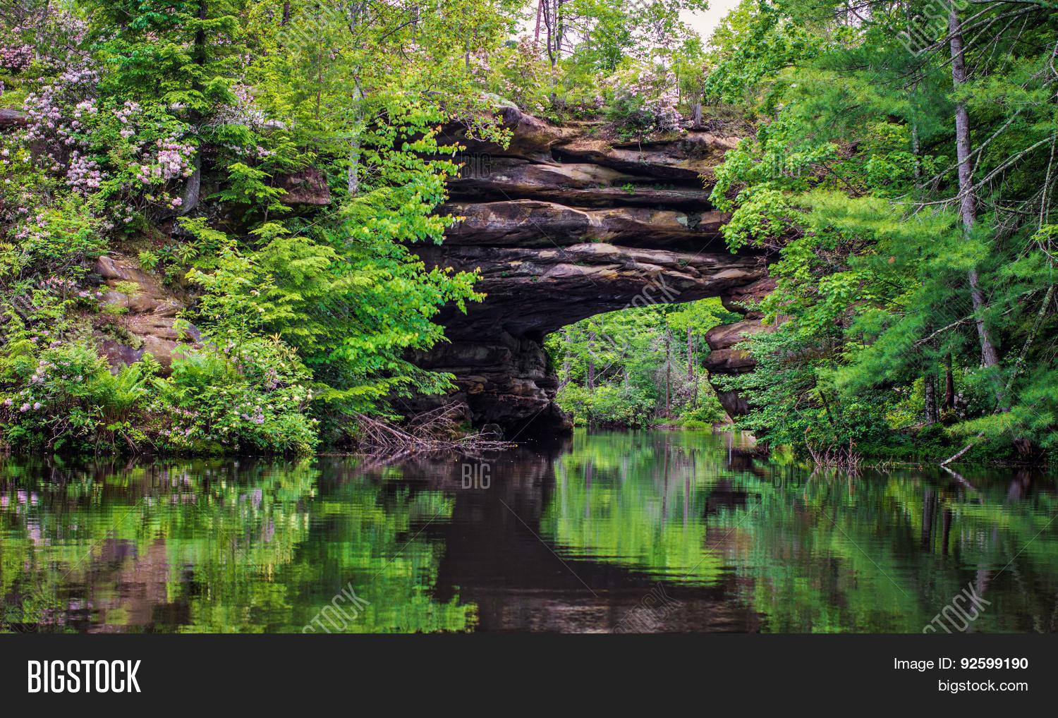 Pickett Lake State Image & Photo (Free Trial) Bigstock