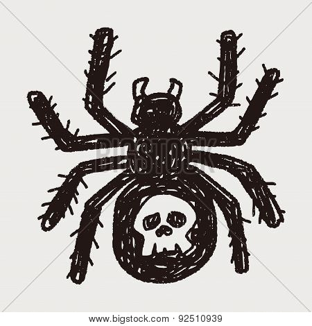 Spider Doodle