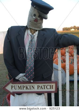 Kürbisbeet Greeter