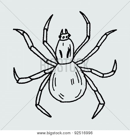 Spider Doodle