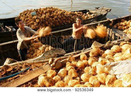 Asian Worker, Coconut, Copra, Material, Mekong Delta
