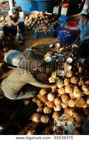 Asian Worker, Coconut, Copra, Material, Mekong Delta