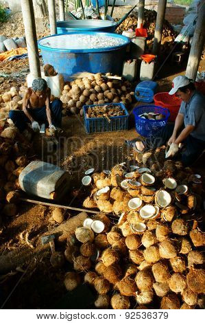 Asian Worker, Coconut, Copra, Material, Mekong Delta