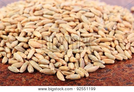 Heap Of Organic Rye Grain