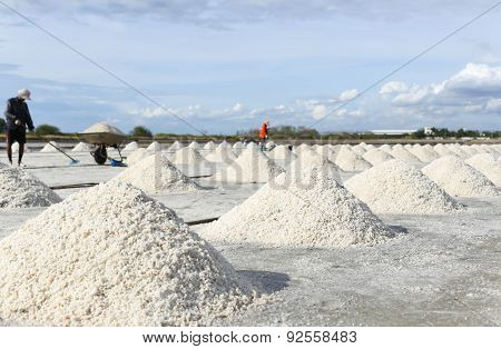 Pile Of Salt In The Salt Pan In Thailand