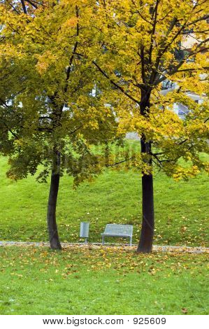 Осень Park4