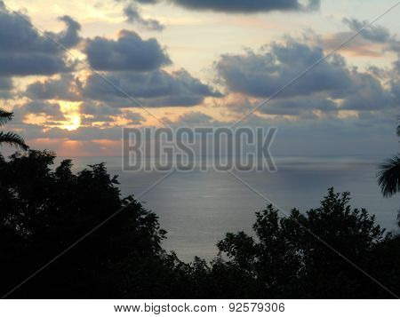 Sunset over the ocean from behind the trees