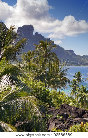 View of the Otemanu mountain through the palms and ocean. Bora-Bora. Polynesia