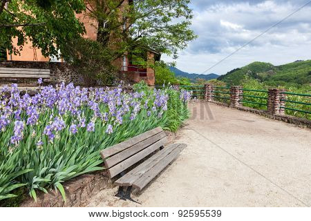 Wooden Bench with Flowers