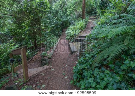 Path Through A Neighborhood