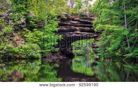 Pickett Lake State Park. Tennessee mountain laurel  surrounds a natural stone arch at Pickett Lake State Park in Tennessee.