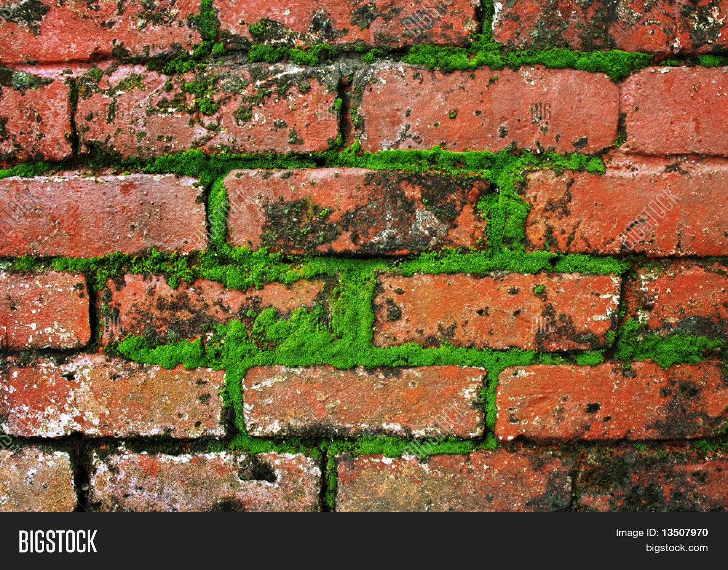 Moss On Brick Wall Image & Photo (Free Trial) Bigstock
