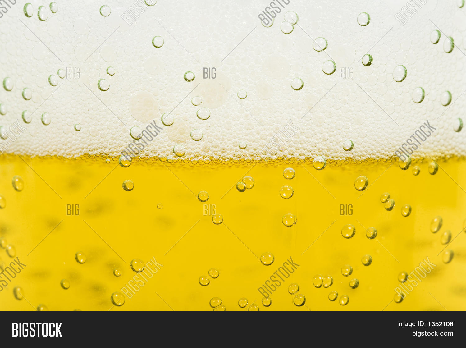 Beer Foam Image & Photo (Free Trial) Bigstock
