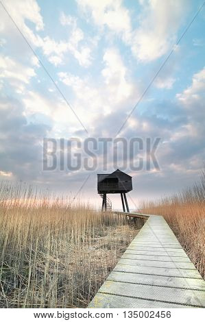 wooden path to observation tower Groningen Netherlands