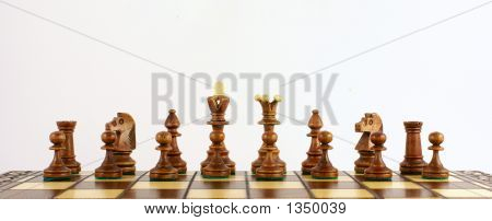 Шахматы