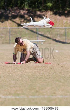 SNELLVILLE, GA - MAY 14 2016:  A dog leaps over his trainer to catch a frisbee tossed in the air in a dog frisbee catching exhibition at Pawfest a dog festival in Snellville GA on May 14 2016.