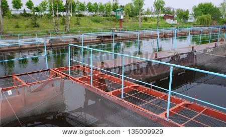 Pontoon sturgeon fish farm on a fresh water river