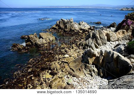 Monterey Bay from Asilomar State Marine Reserve California