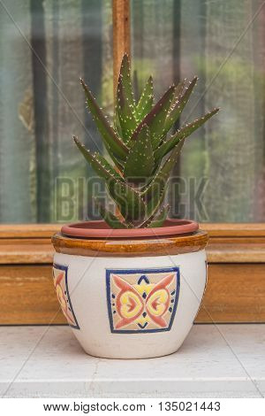 Traditional Venetian Wondow With Flowers In The Pot