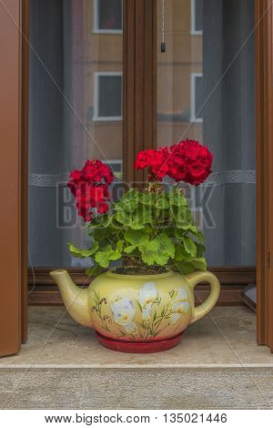 Traditional Venetian Wondow With Flowers In The Pot