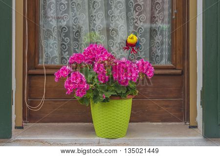 Traditional Venetian Wondow With Flowers In The Pot