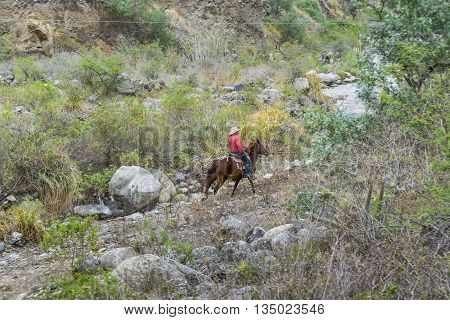 Cowboy Riding Horse