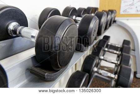 Sports dumbbells in modern sports club. Weight Training Equipment