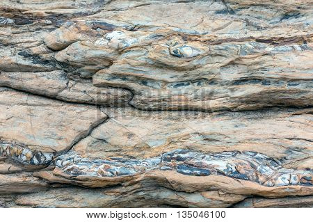 Part Of Rock Close Up.