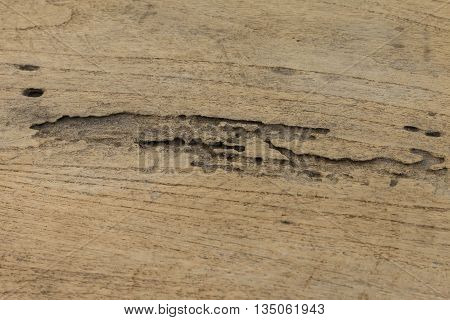 Wood had been a nest of termites.