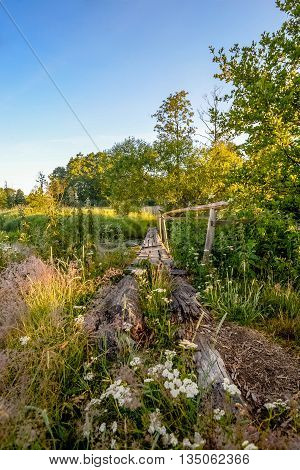 Old bridge over the river at dawn in the summer