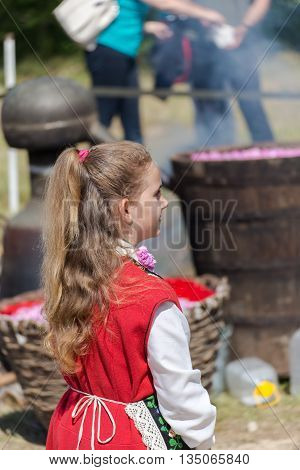 Rose Picking Festival