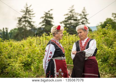 Rose Picking Festival