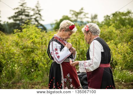 Rose Picking Festival