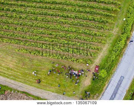 Rose Picking Festival Aerial View