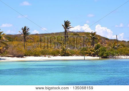 Isla Contoy   Mexico Froath And Blue
