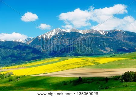 Beautiful landscape green and yellow meadow with field and snow mountain. Slovakia Central Europe Liptov. Mountain High Tatry