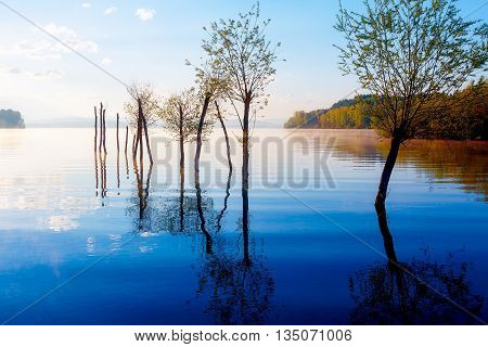beautiful lake view in morning fog with mystic mountains and trees as leftovers of a mole in purple - blue tones