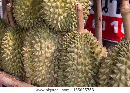 Durian, King of fruit in Thailand asia