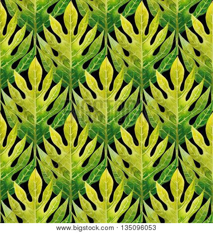 Watercolor breadfruit leaves seamless pattern. Hand painted exotic plants