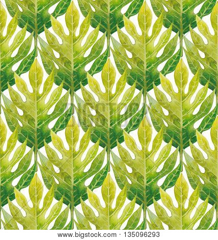 Watercolor breadfruit leaves seamless pattern. Hand painted exotic plants