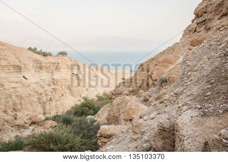 Canyon In En Gedi Nature Reserve And National Park, Israel