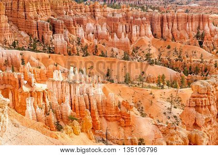 natural landmark Bryce Canyon National Park in Utah USA