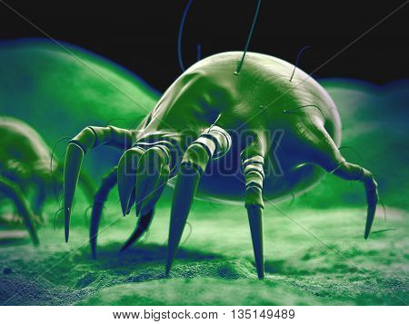 3d rendered, medically accurate 3d illustration of the dust mite