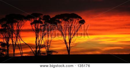 Sunrise Outback