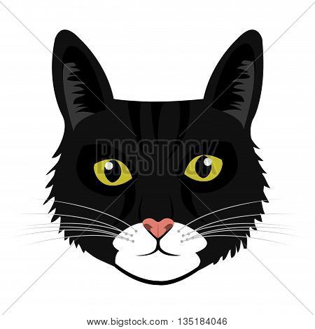 colorful avatar cat animation front view over isolated background, vecor illustration
