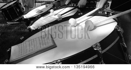 Drumline bass drum sectional, learning music in the trees.